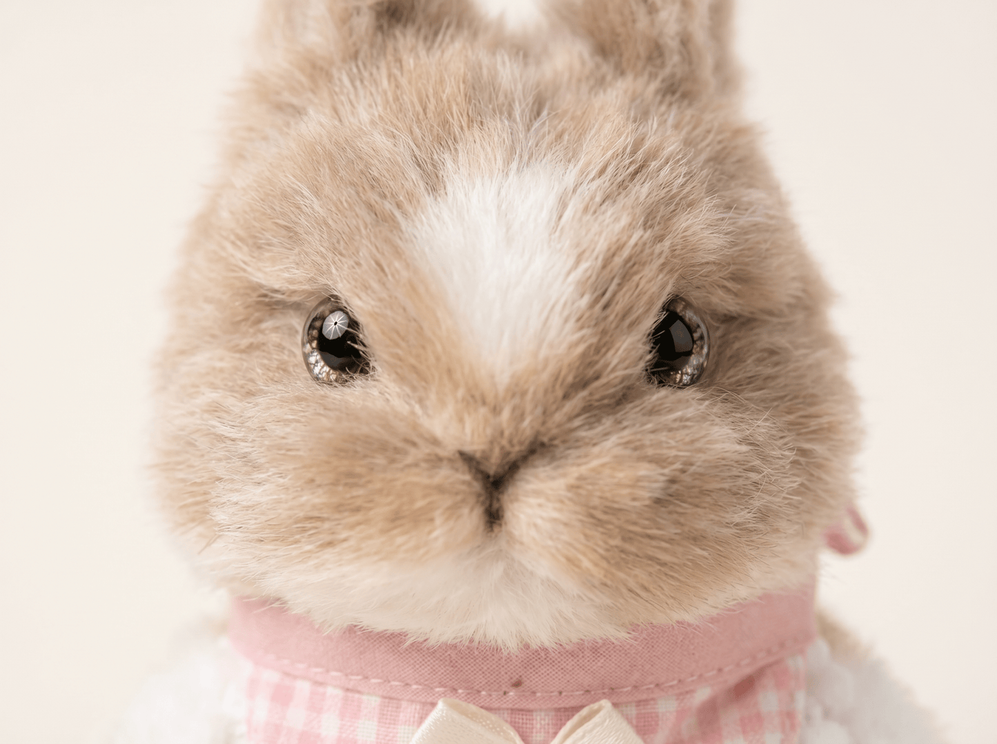 Artisan Handmade Bunny Bag Charm | Custom "Fluffy Ear" Miniature | Plush Rabbit Keychain | Sweet Gift for Bunny Lovers & Easter - Petopia