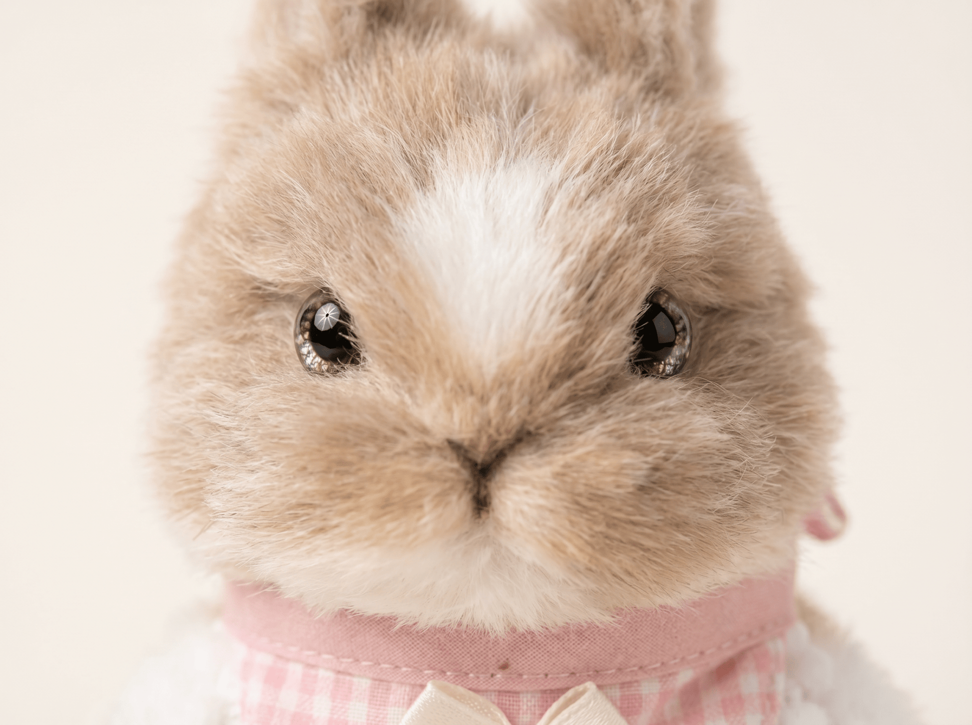 Artisan Handmade Bunny Bag Charm | Custom "Fluffy Ear" Miniature | Plush Rabbit Keychain | Sweet Gift for Bunny Lovers & Easter - Petopia