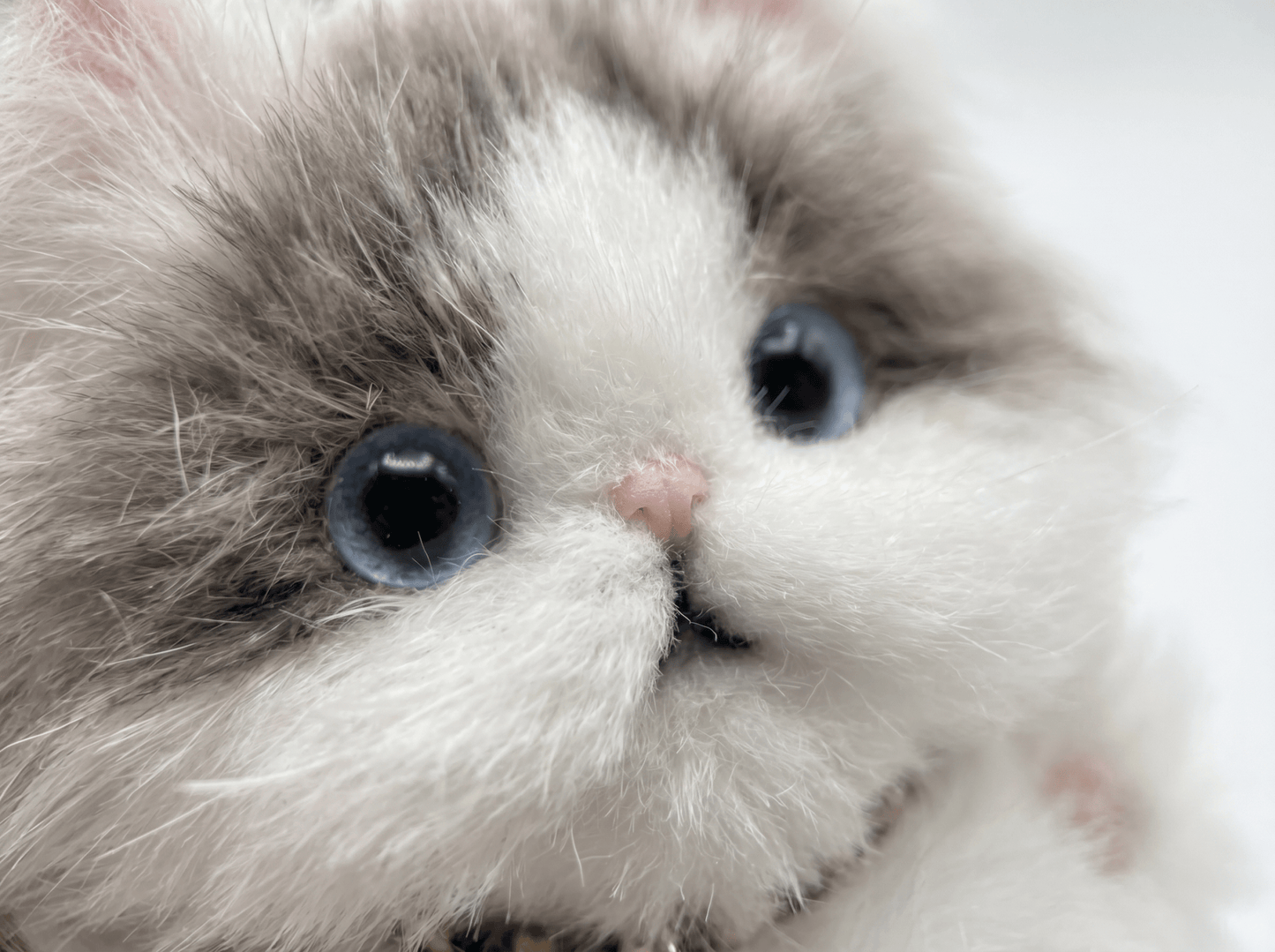 Artisan Ragdoll Cat Bag Charm | Custom Handmade Fluffy Kitty | Plush Keychain | Memorial Pet Gift for Cat Lovers - Petopia