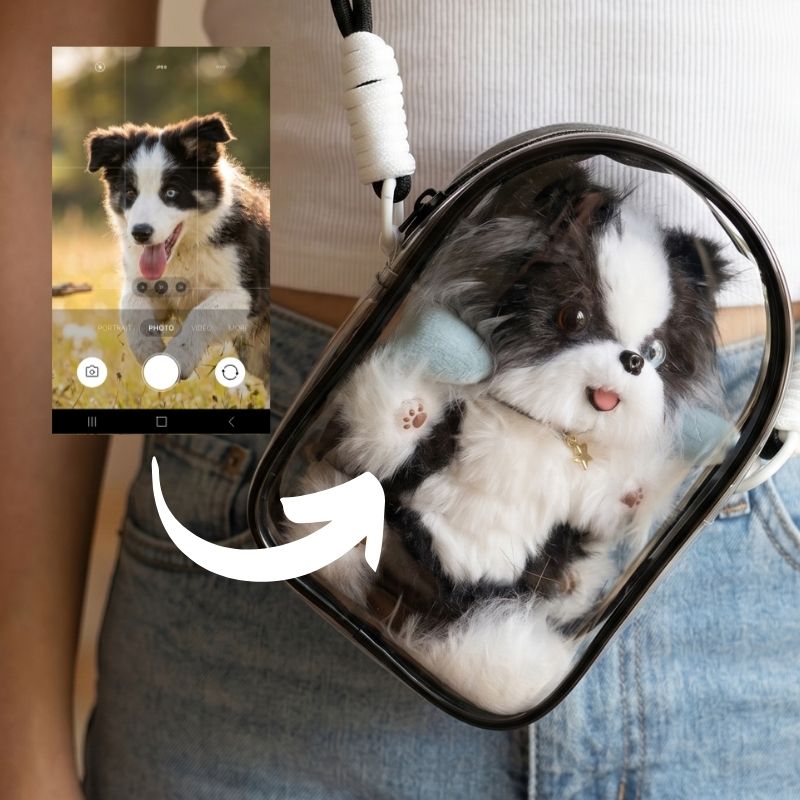 Border Collie| Custom Gift for Border Collie Owners - Petopia